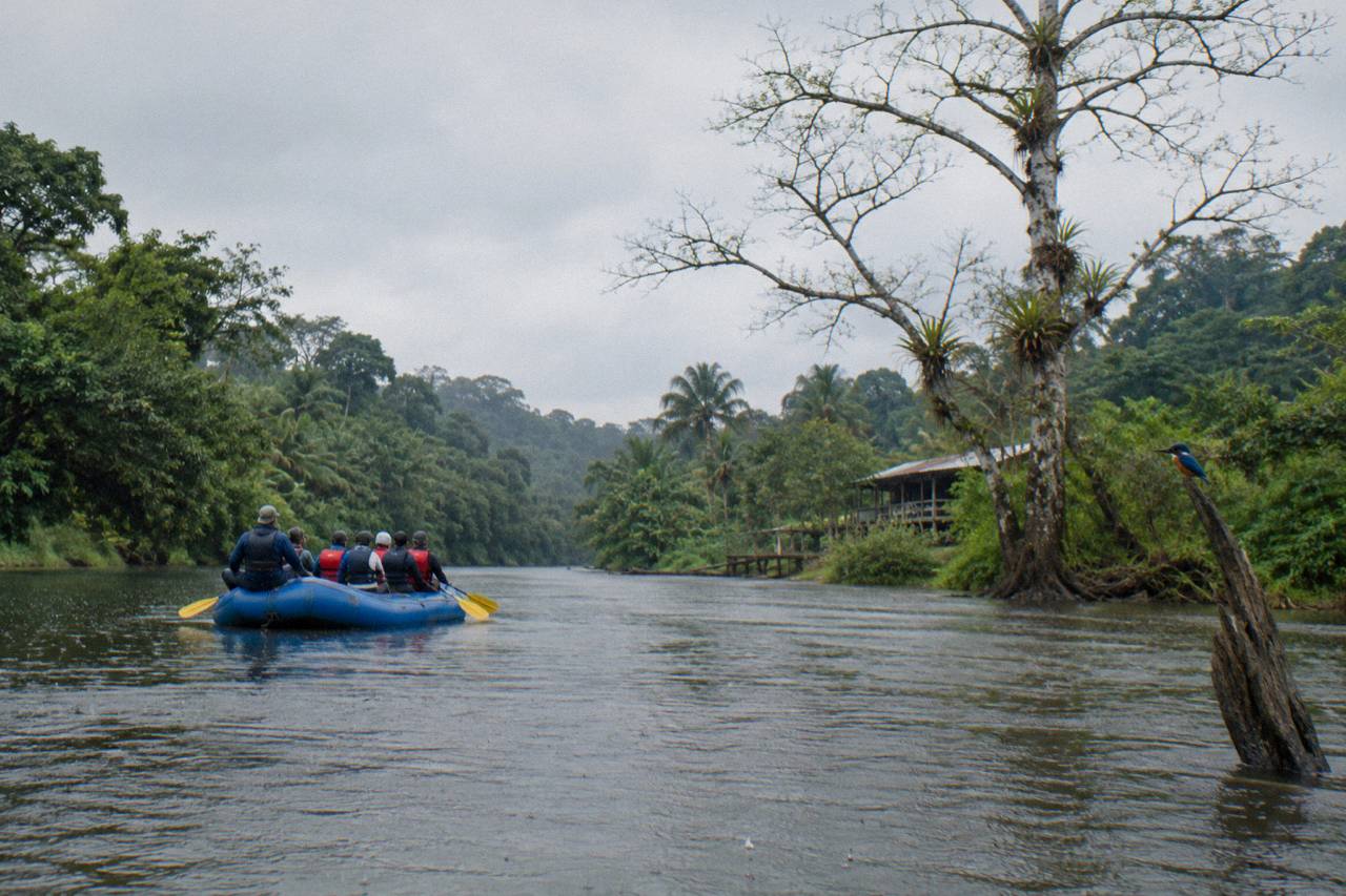 Sarapiquí Rafting: Class II-III Rapids & Wildlife