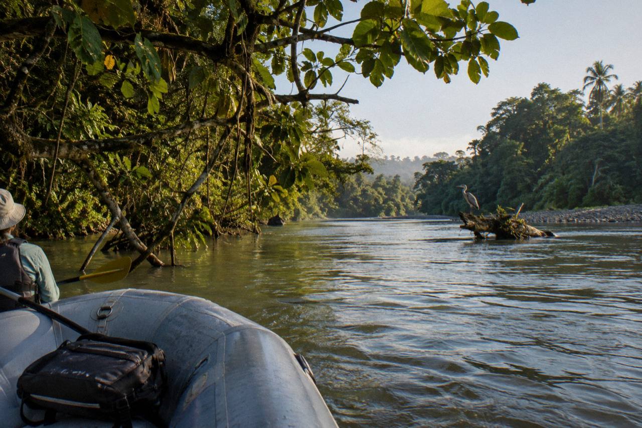 Sarapiquí River Wildlife Safari Float