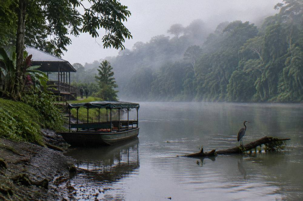 A raft resting in flat water beside a tall rainforest bank with mist over the trees