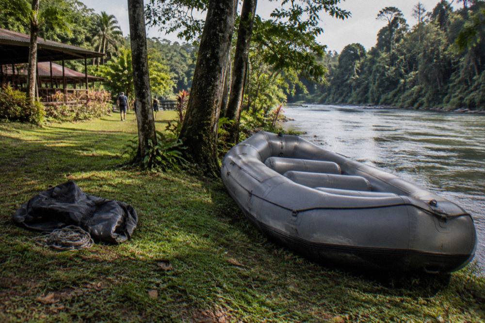A raft resting on a riverbank beside tall rainforest trees