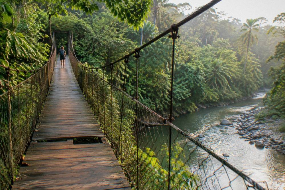 Wooden bridge crossing a green river canyon surrounded by rainforest