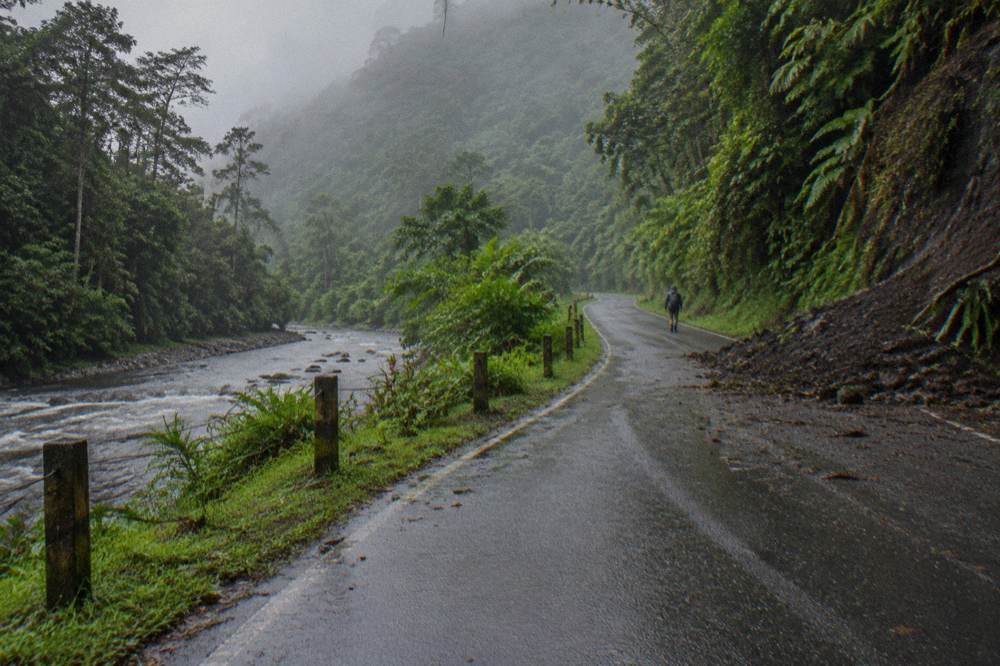 Winding road through misty green mountains with dense forest on both sides