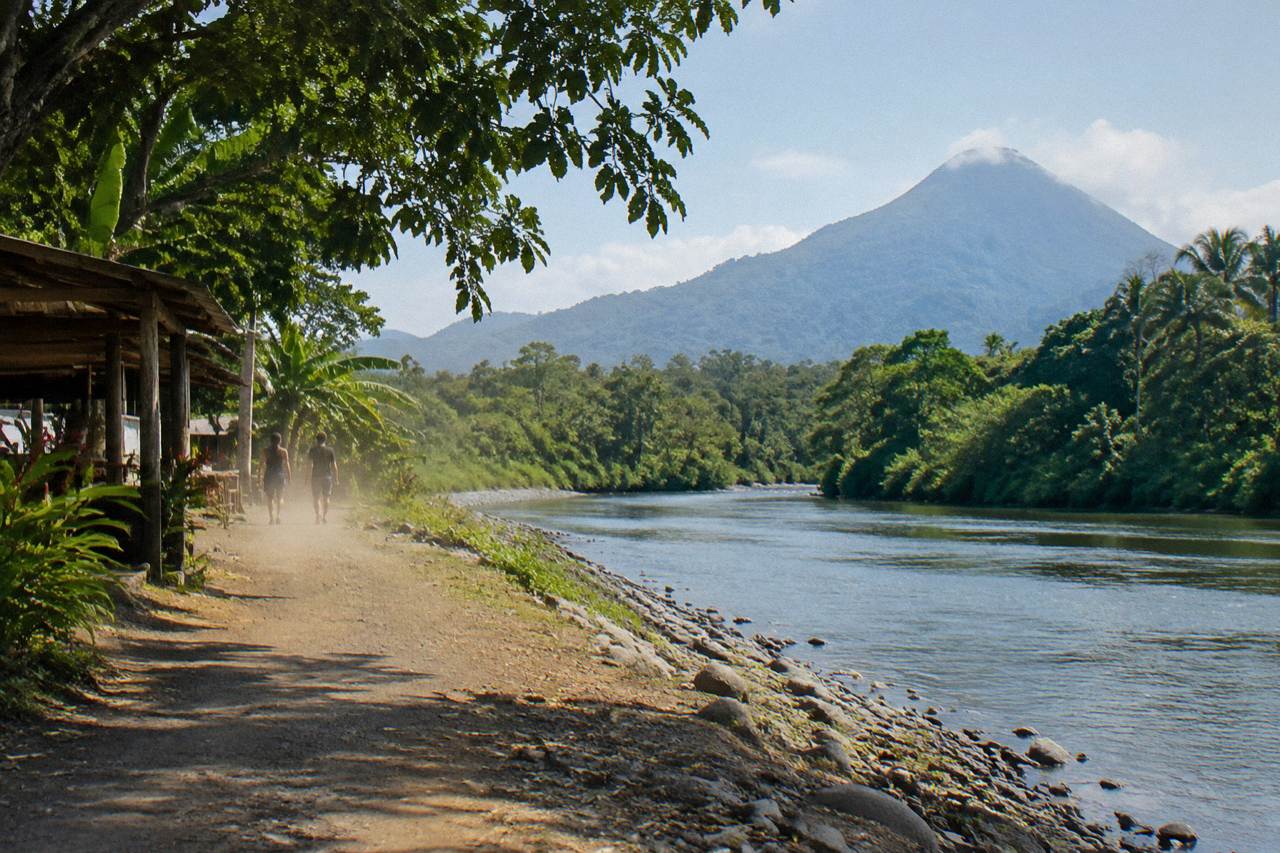 Calm river winding through dense green jungle under a bright sky