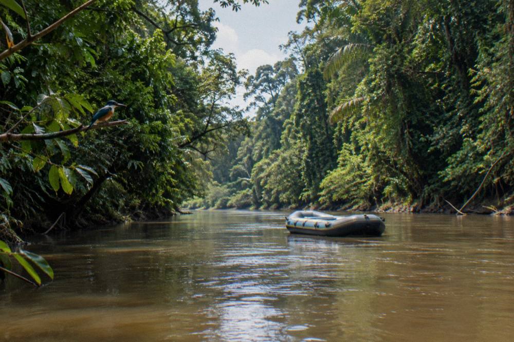 A raft floating on a wide jungle river between walls of green tropical forest