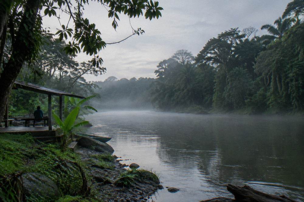 A jungle river winding through dense rainforest with mist hanging over the water