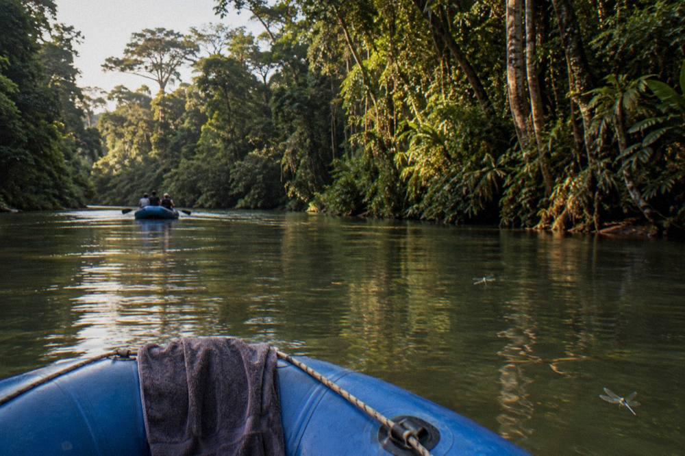 A raft floating through calm green water between tall rainforest trees