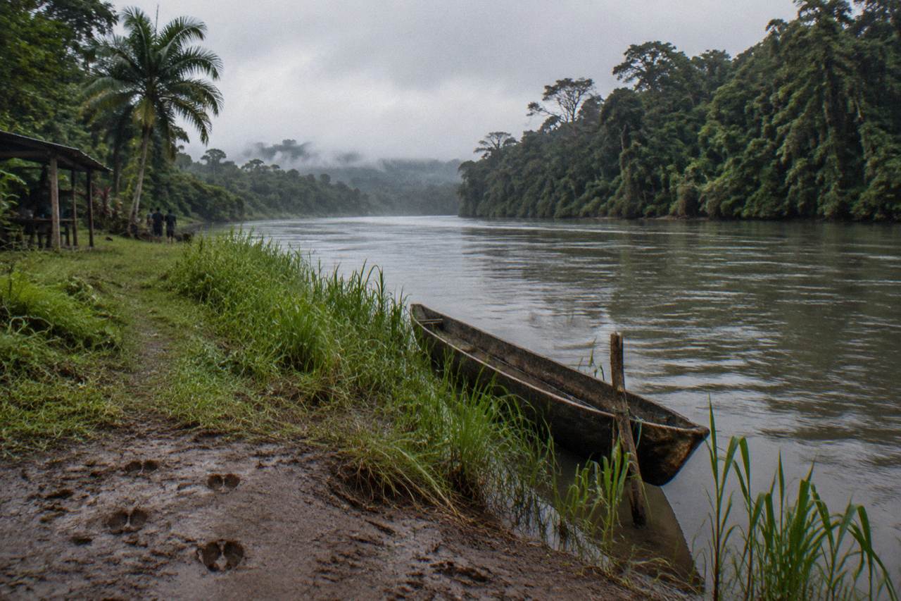 A wide tropical river flowing between dense rainforest banks under an overcast sky