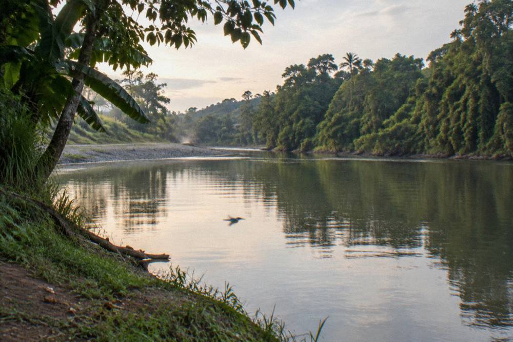 Calm river water reflecting dense green rainforest on the banks