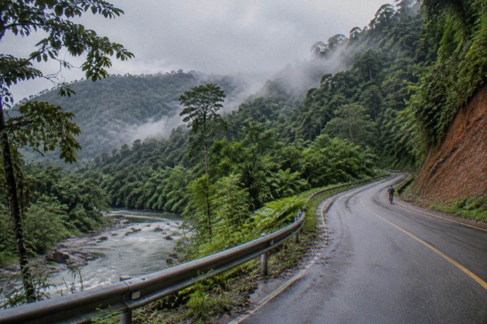 Winding two-lane road through misty rainforest mountains with low clouds