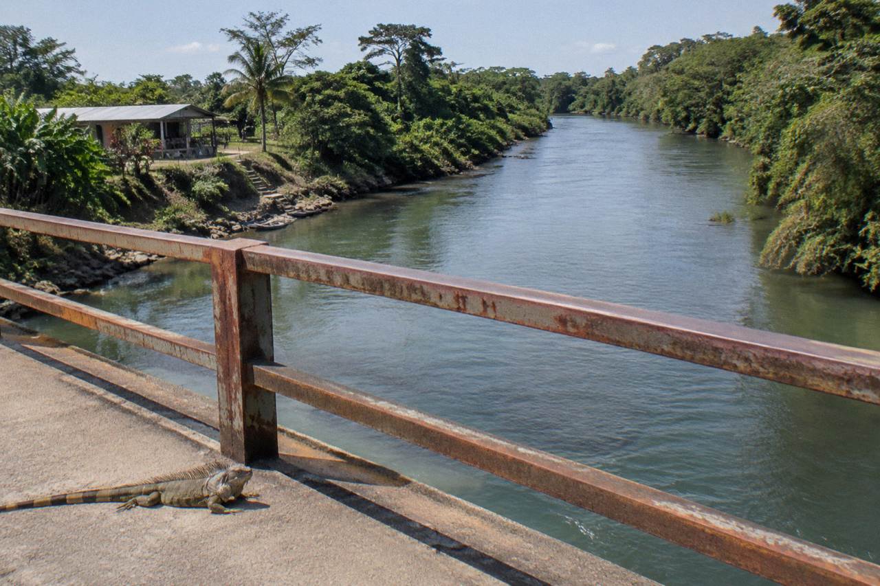 Quiet stretch of the Sarapiqui River with dense green jungle on both banks under a bright sky