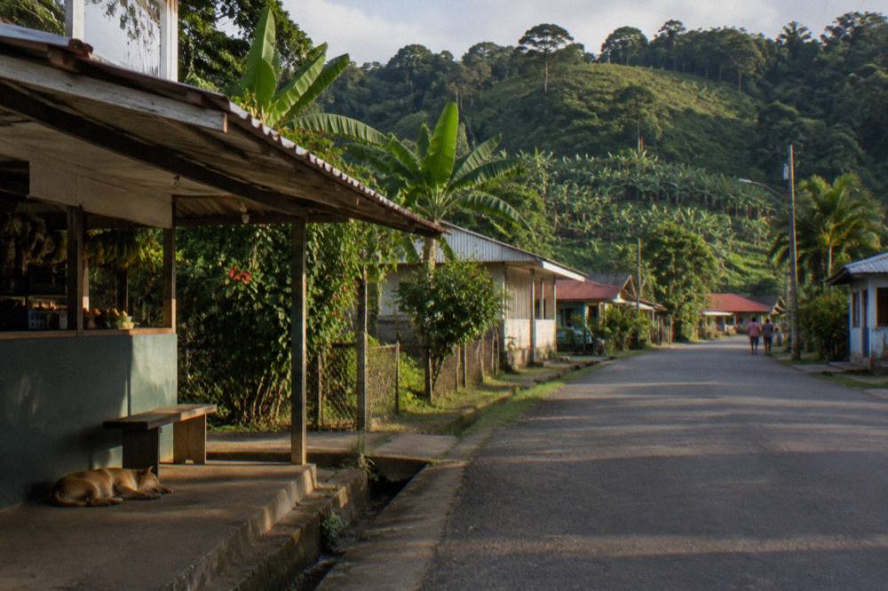 A small rural town street with simple buildings and dense tropical vegetation on the hillsides