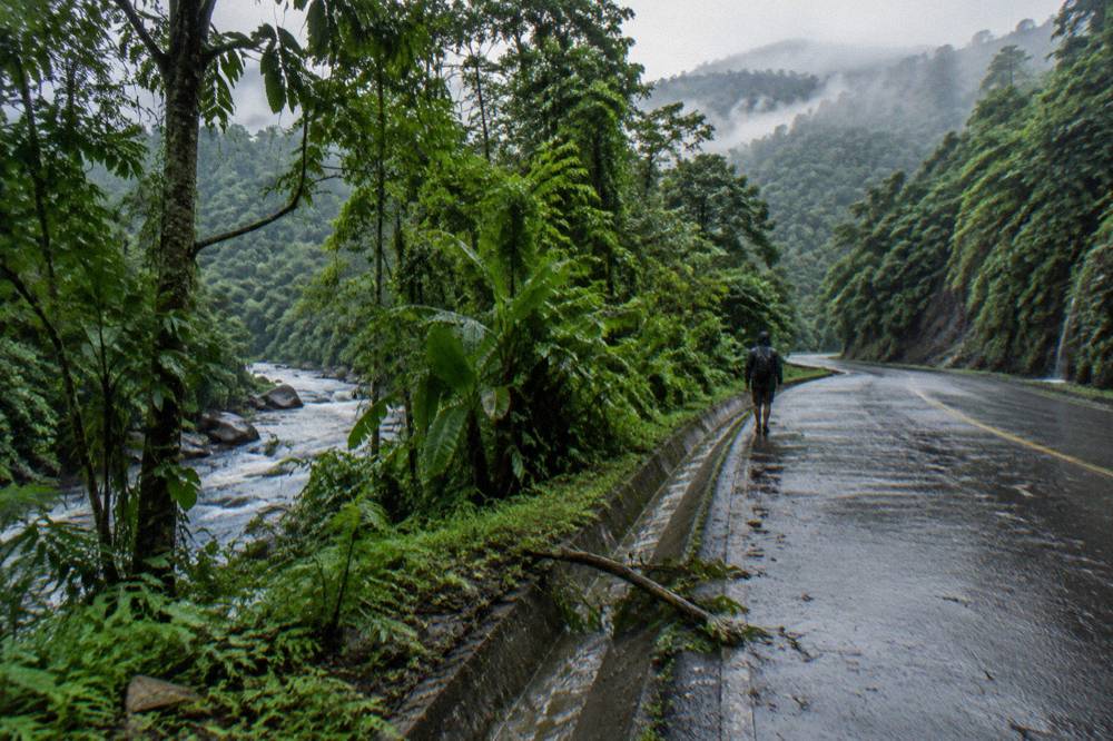 A mountain highway cutting through dense rainforest with mist on the ridgelines