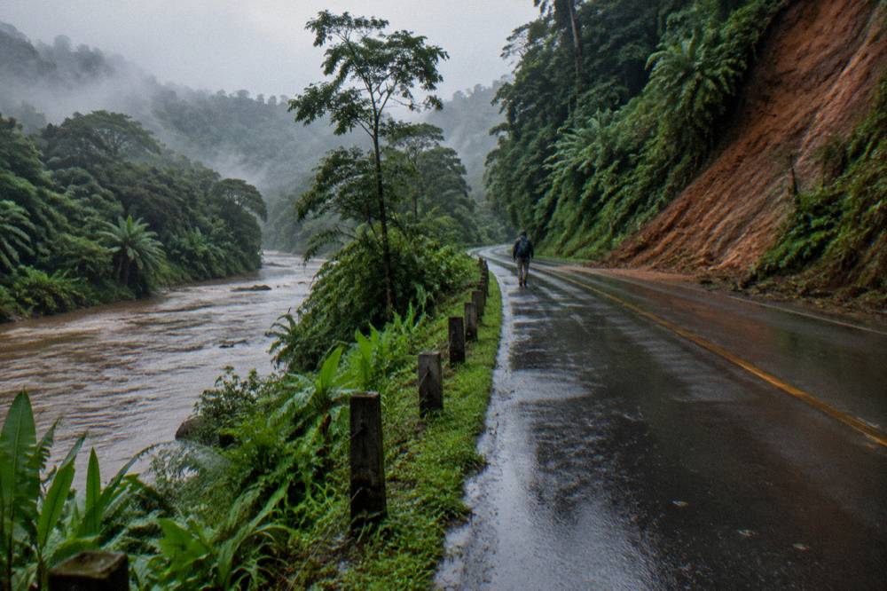 Wet mountain road with rain mist and dense forest on both shoulders