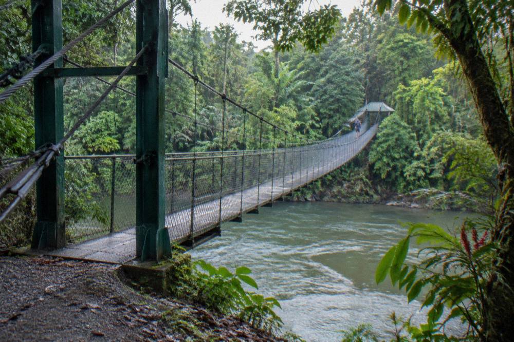 Suspension bridge crossing a green rainforest river