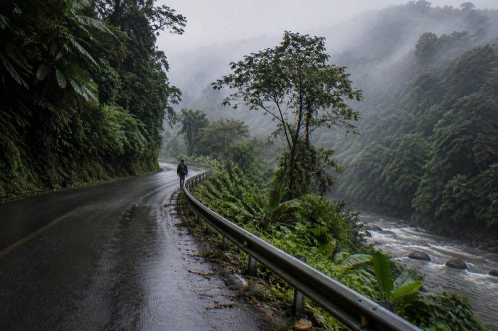 Winding mountain road through misty rainforest with heavy green cover