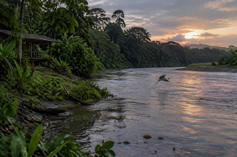 River bend at dusk with rainforest on both banks