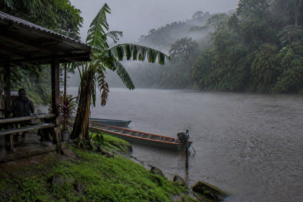 Heavy rain falling on dense green rainforest along the Sarapiqui River