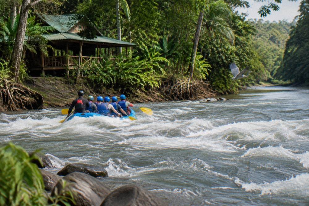 A raft with paddlers in helmets crossing a churning rapid between rainforest banks