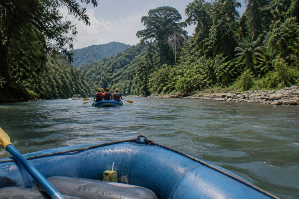 A raft with paddlers in helmets and life jackets floating past tall rainforest trees