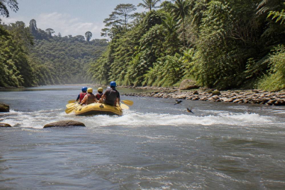 A family raft riding a small wave between green forested banks