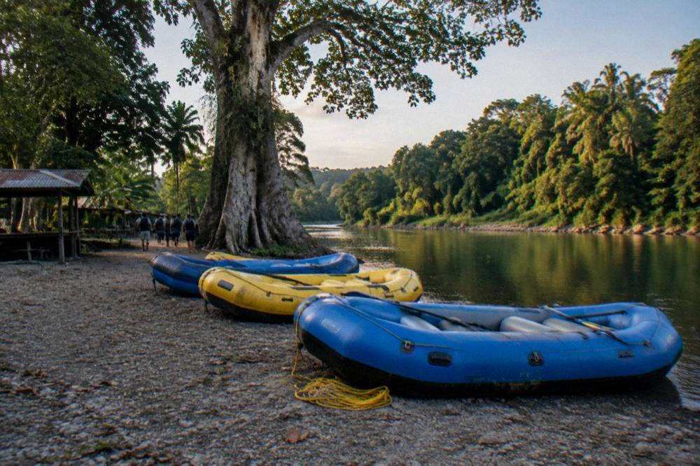 Rafts lined up on a gravel riverbank beside calm water and tall trees