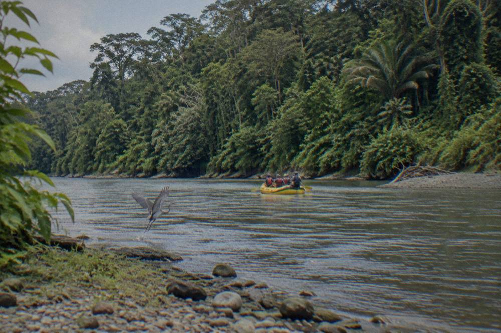 A raft floating down a wide jungle river between thick green banks