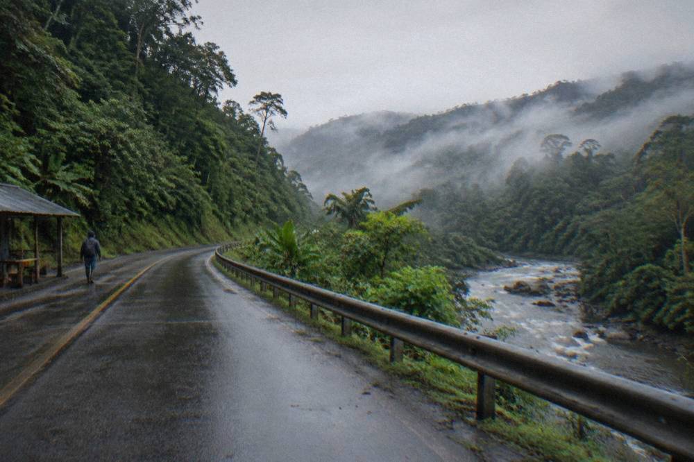 A paved road curving through misty rainforest hills