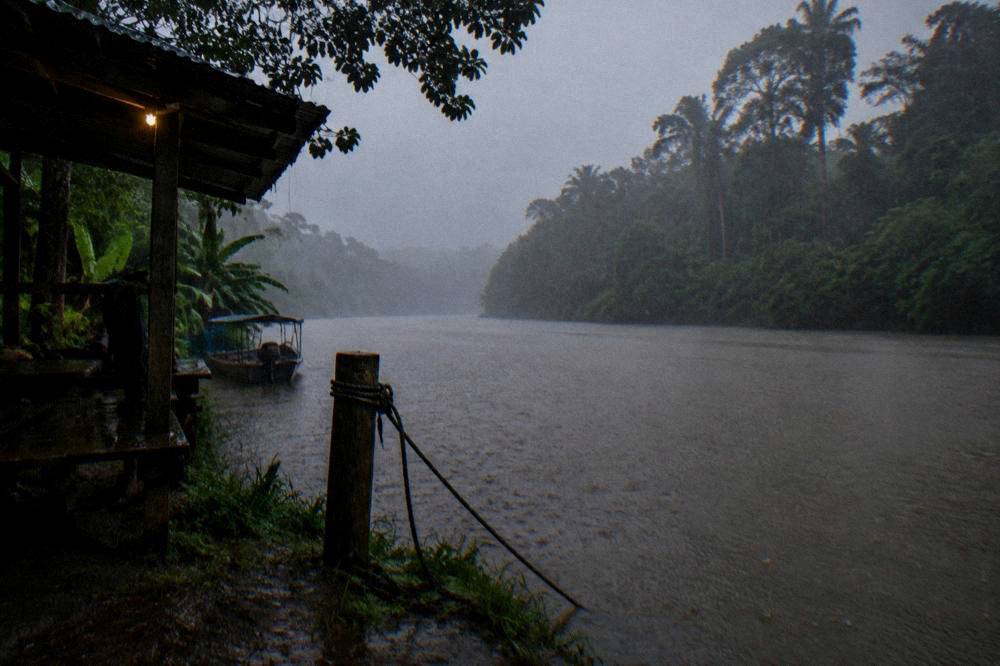 Heavy rain falling on a rainforest river at dusk