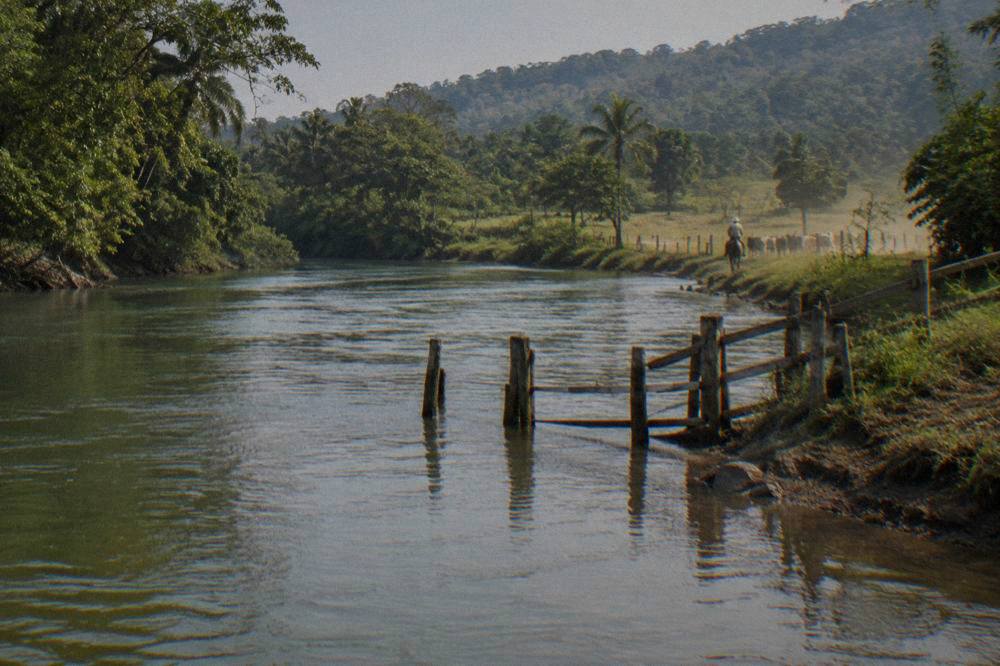 A wide tropical river flowing between rainforest banks with visible ripples on the surface