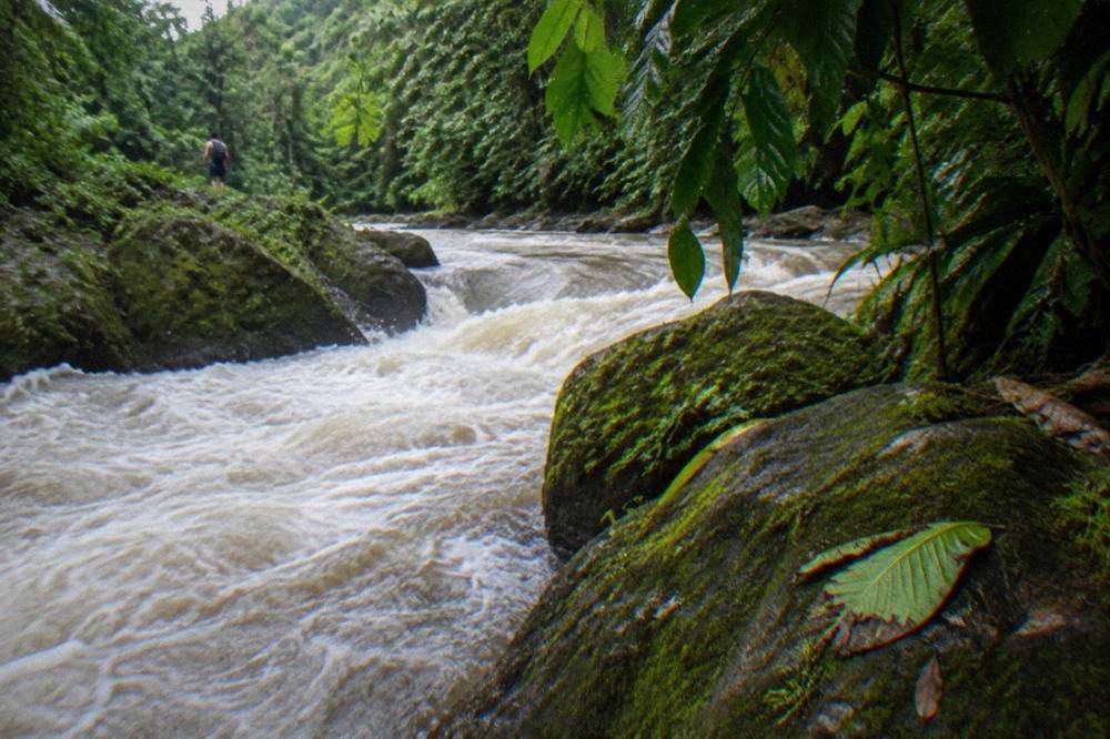 Foamy whitewater rapids pushing through a narrow jungle river bend