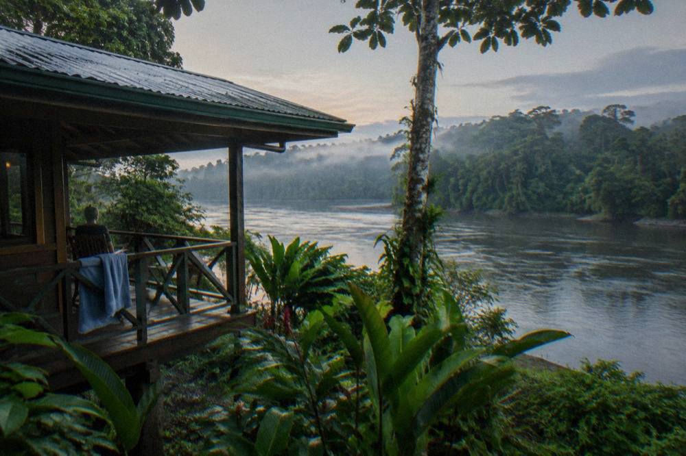 Dense green rainforest lining a wide slow river with mist over the canopy
