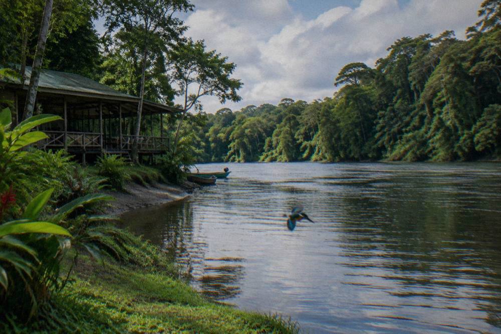 Dense green rainforest lining both banks of a wide tropical river under broken clouds