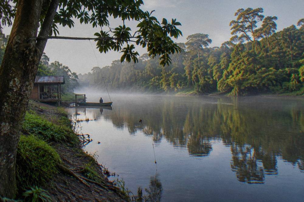 A calm tropical river bend lined with tall rainforest trees in morning light