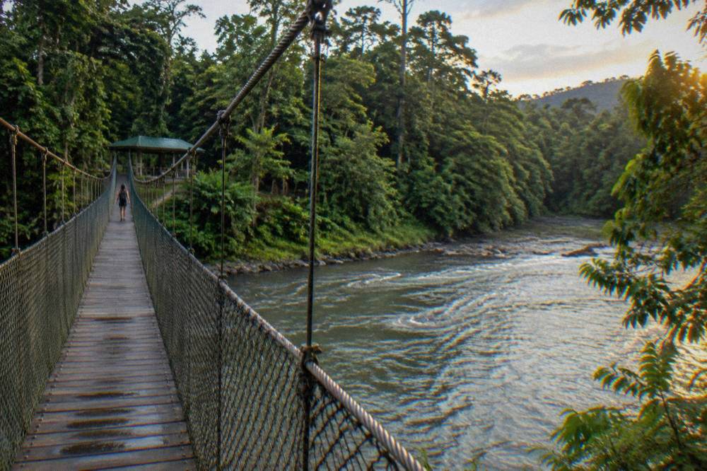 A suspension footbridge crossing a wide jungle river in late afternoon light