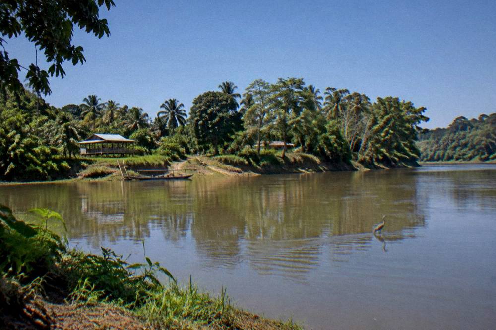 A calm brown river bending through rainforest with a blue sky above the canopy