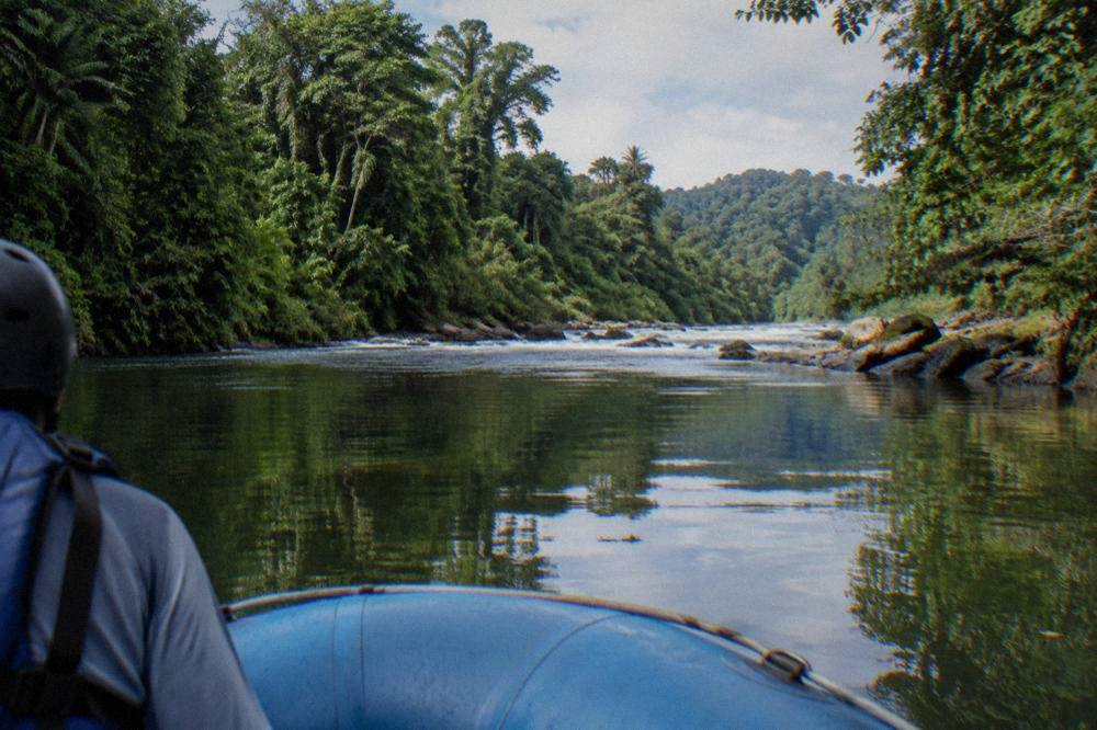 A raft floating through a calm jungle corridor between green rapids