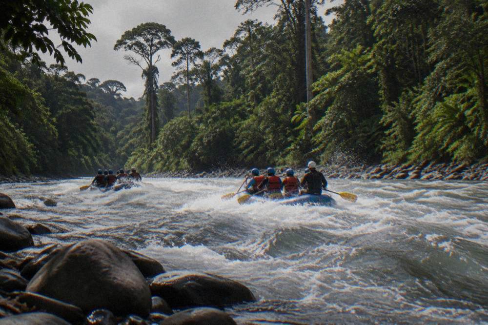 Two rafts running a wave train through dense rainforest