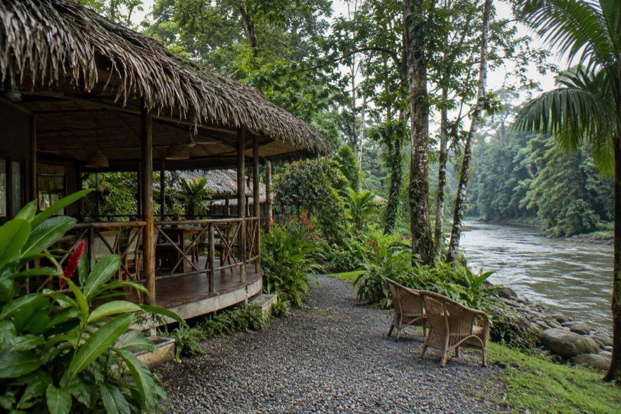 A low timber-and-thatch rainforest lodge with a wide covered veranda and rattan chairs under tall trees